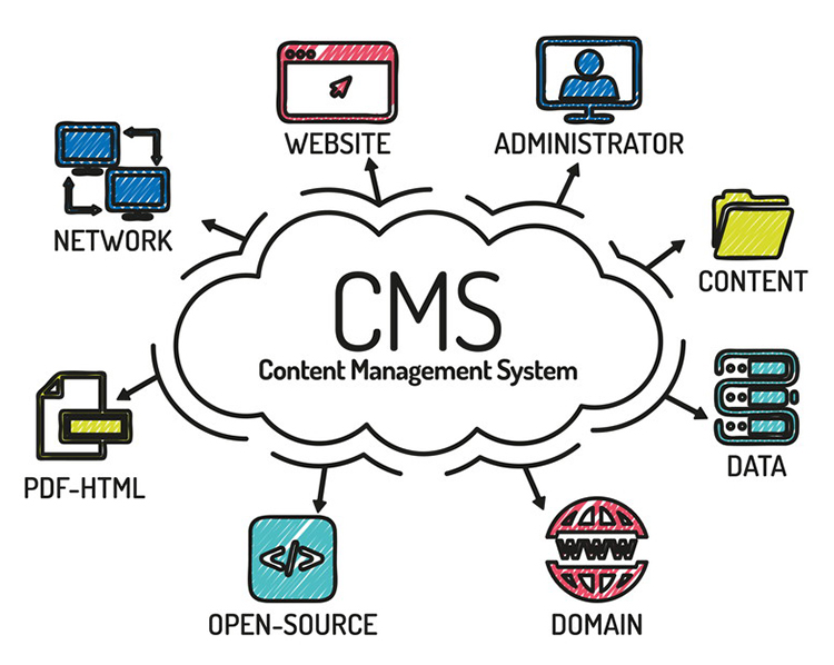 CMS